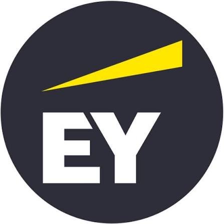 ey logo